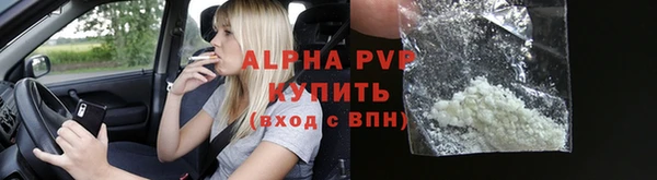 прущие грибы Михайловск