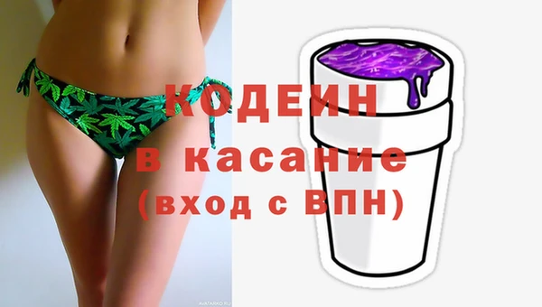 прущие грибы Михайловск