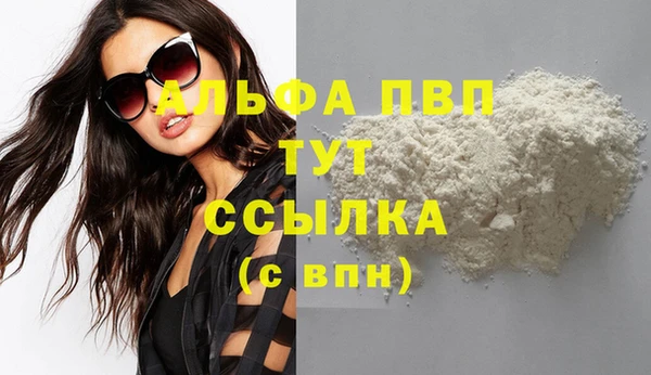 прущие грибы Михайловск