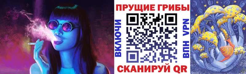 ОМГ ОМГ ссылка  Фокино  Псилоцибиновые грибы ЛСД 